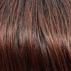 High End Top Filler by Gisela Mayer in 12-14 light shade - clip-on hair filler for thinning areas
