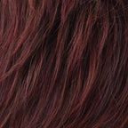 Gisela Mayer Alea wig, rear view showing the subtle layering and natural movement of the long synthetic hair.