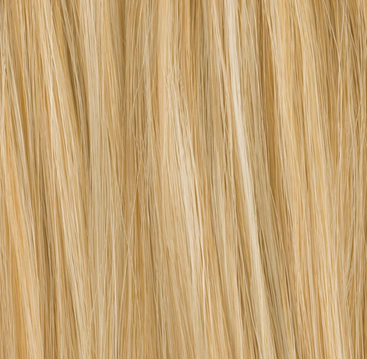 Couronne de cheveux Sage