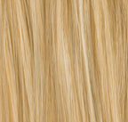 Couronne de cheveux Stevia