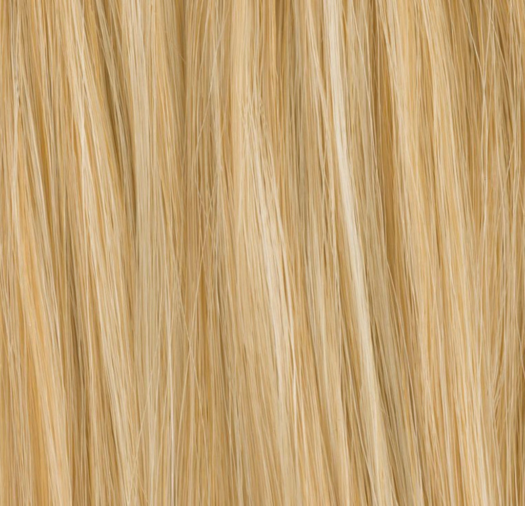 Queue de cheval Frizzante