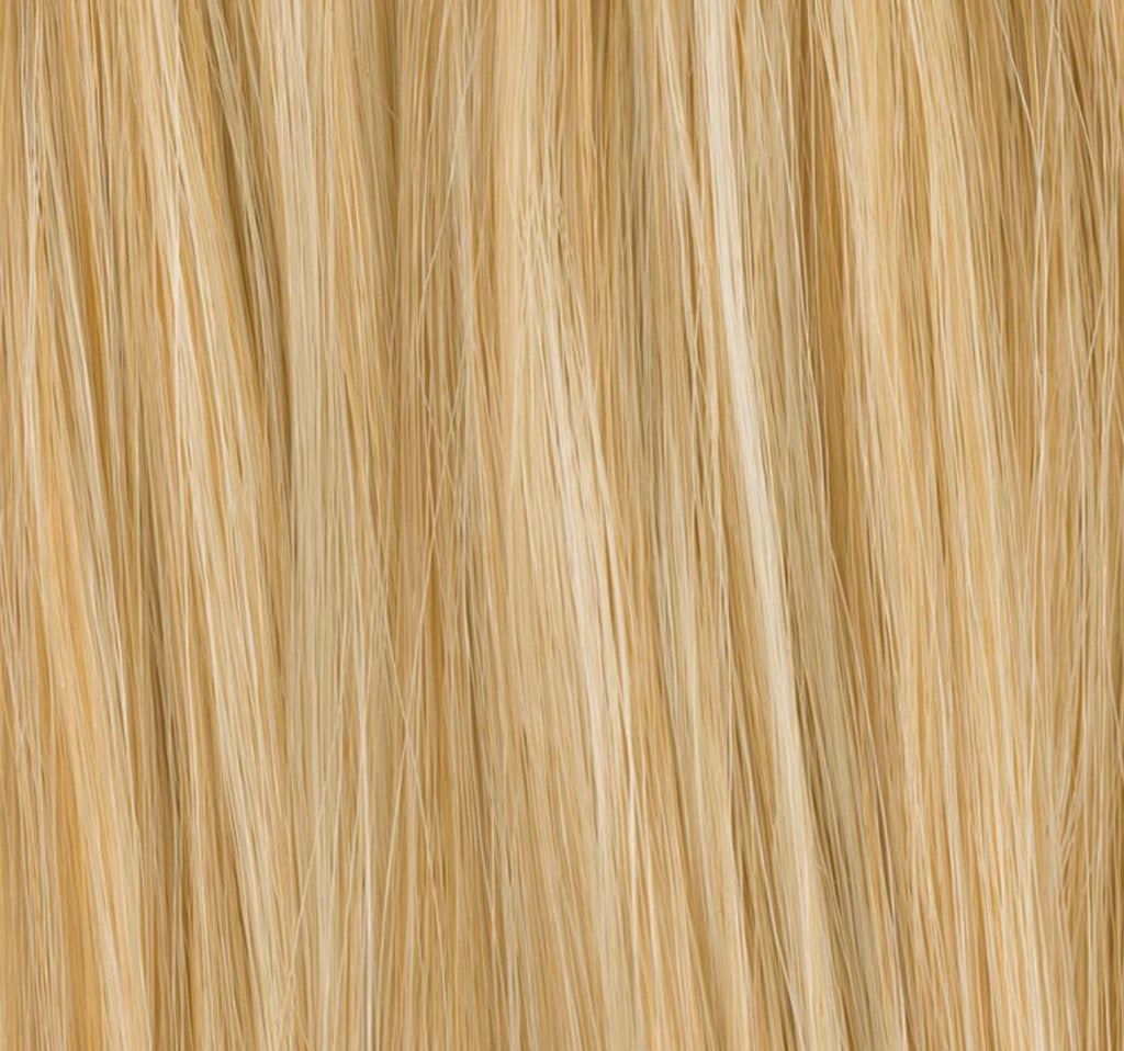 Chignon Sherry