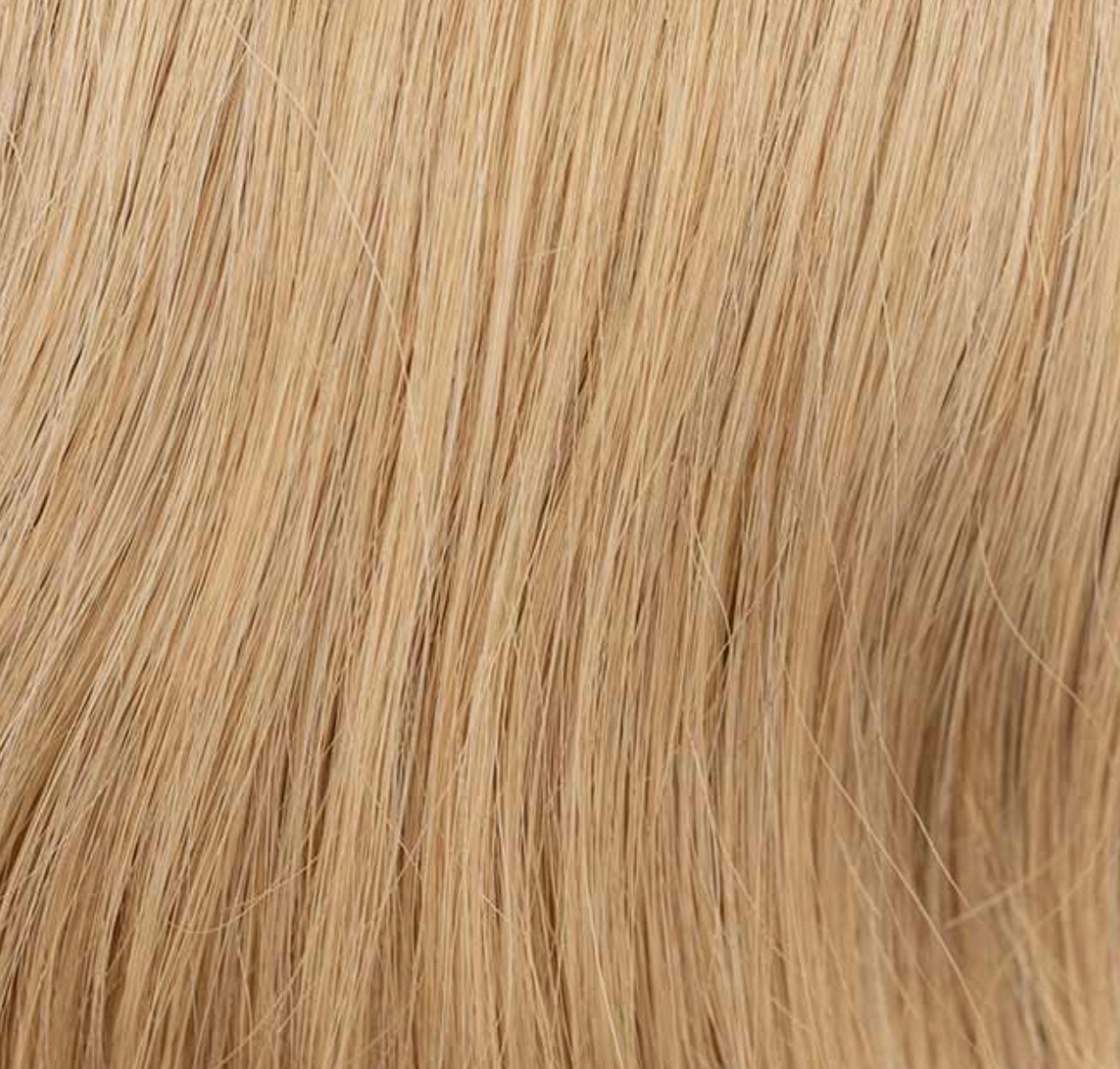 Couronne de cheveux Verbena