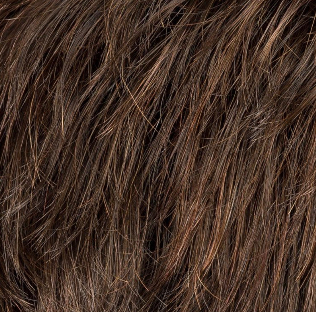 Keira in Chocolate Rooted by Ellen Wille, side profile showing the warm brown tone on the short elegant wig.