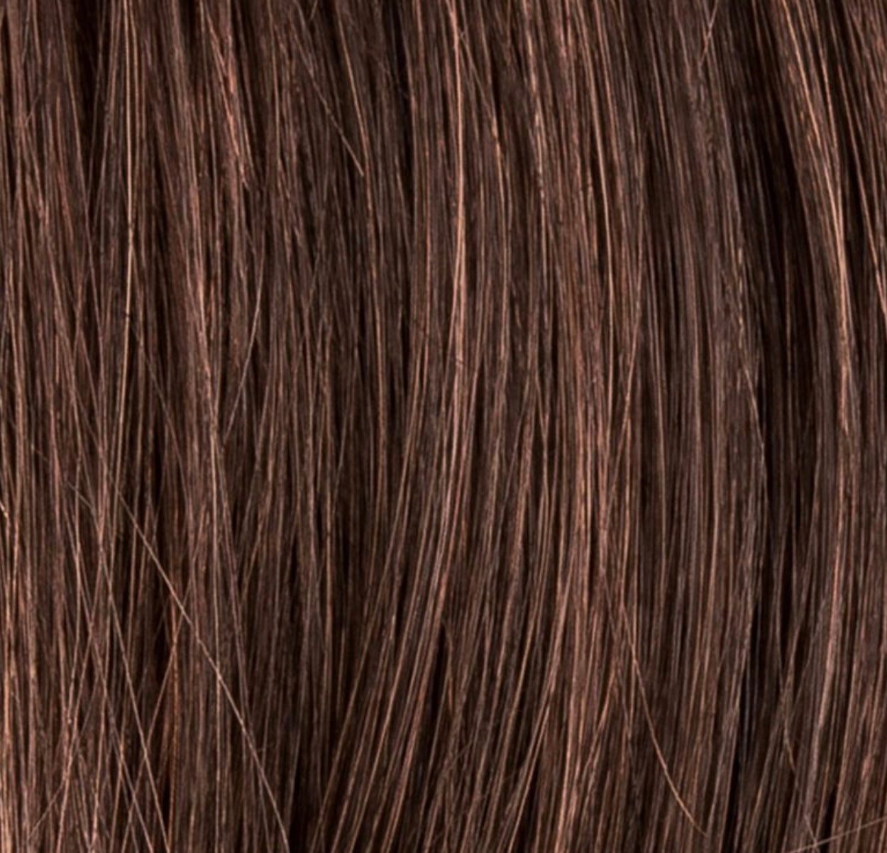 Miss Comfort in Dark Chocolate Mix by Ellen Wille, side profile showing the rich dark tone on the mid-length bob wig.