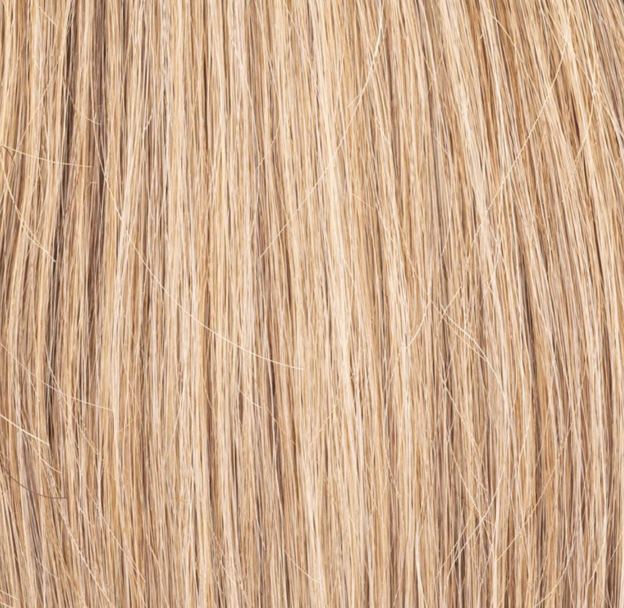 Ellen Wille Magic topper in Sandy Blonde Rooted - 100% Remy hair volume piece for women