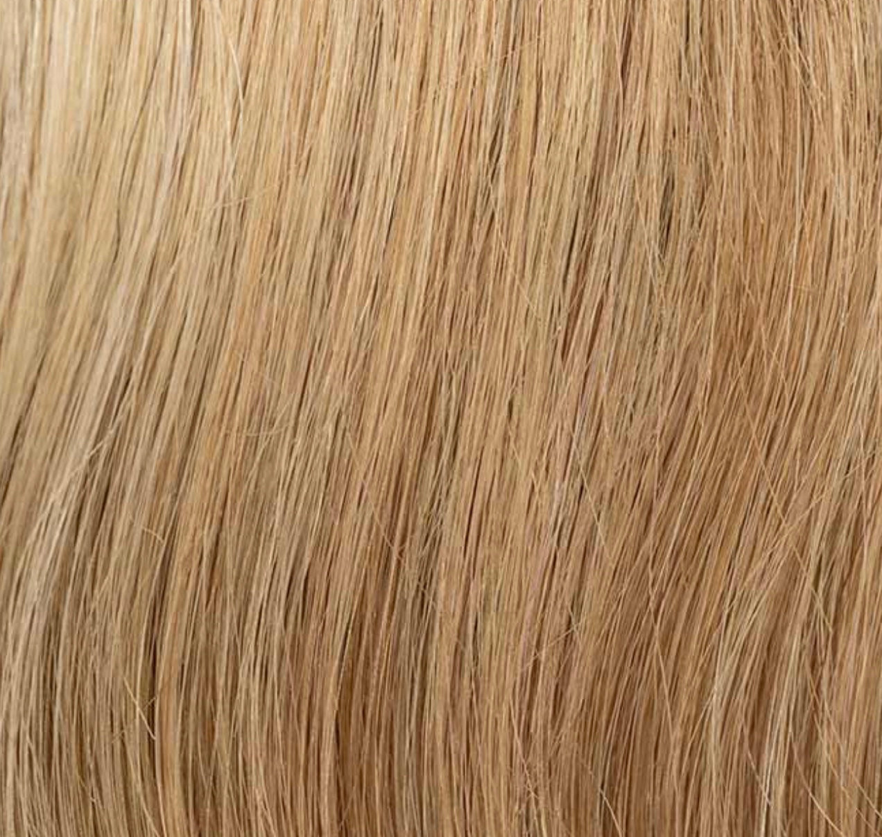 Couronne de cheveux Verbena